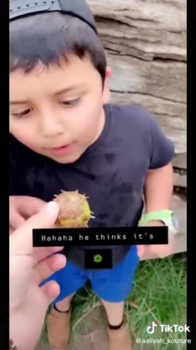 (Reupload due to sound issues) Poor little lad, haha