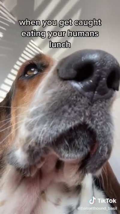 He&rsquo;s sorry