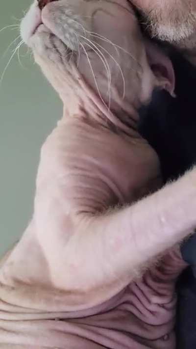 His purr is so soothing. Sound on.