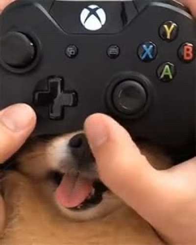 MaN BRutAlly tuRns DoG iNto CybOrg fOr PleaSure