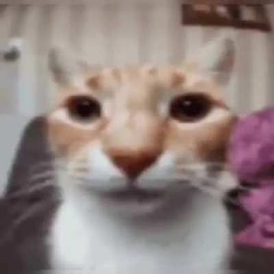 🫥