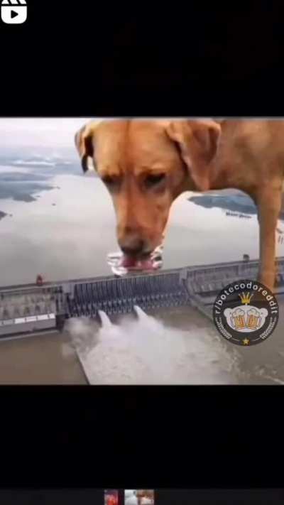 Ser&aacute;? 