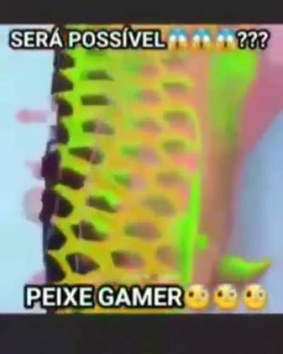 Ser&aacute; poss&iacute;vel guys?