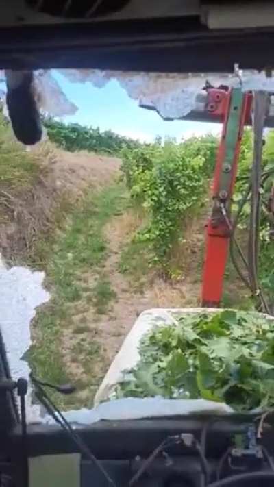 OMG 😮