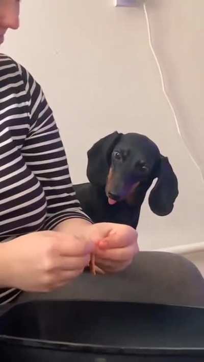 She's so interested