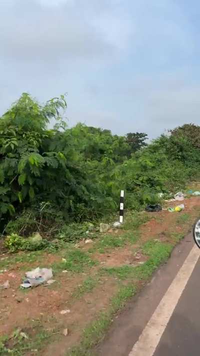 Seriously what&rsquo;s wrong with people who throw trash on Arlem bypass.