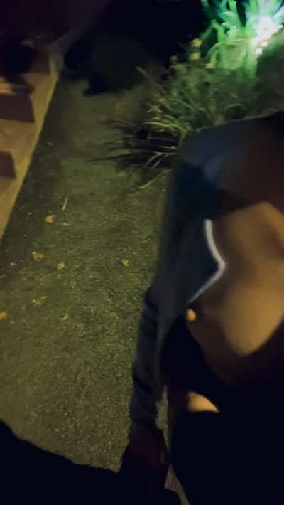 Free to grab on the walk home from date night 💕 [OC]
