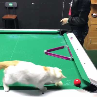 Maybe Maybe Maybe