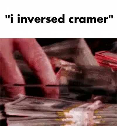 +1000% YTD