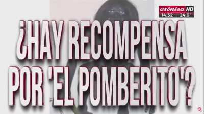 Dame el comentario mas racista que tengas... no, no tan racista