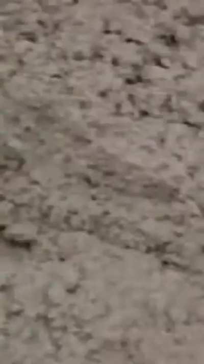 School Bus Driver won&rsquo;t be inconvenienced by road work&hellip;