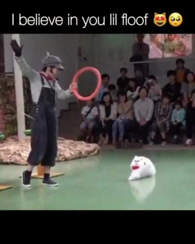 Maybe maybe maybe