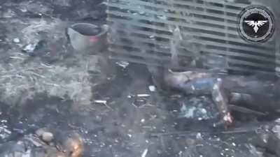 Russian assault group gets shredded by Ukranian artillery near Pokrovsk