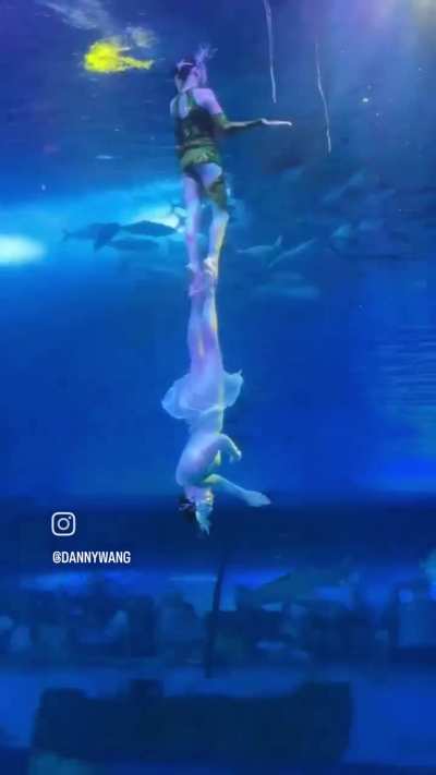 Guangzhou Zhengjia Polar Ocean World Performance: "The Legend of Green &amp;amp; White Snake"
