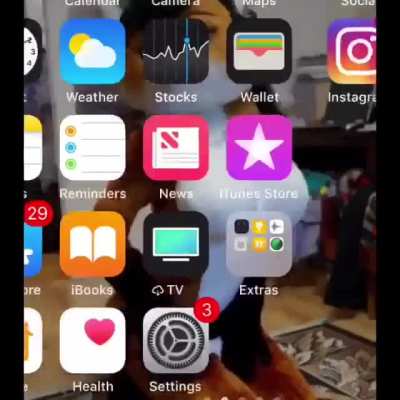 Wtf