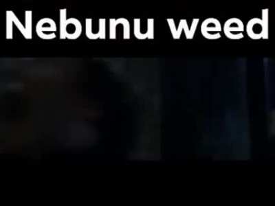 nebunu weed in actiune