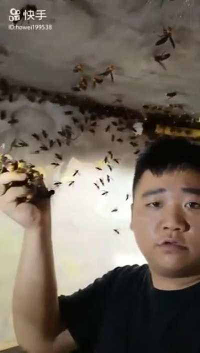 This guy handling those giant wasps