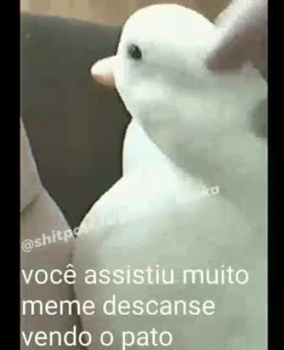 Sei q tem marca d,agua mais n&atilde;o consigui aguentar bom mais os creditos de quem criou o meme ta ai boa noite turma❤