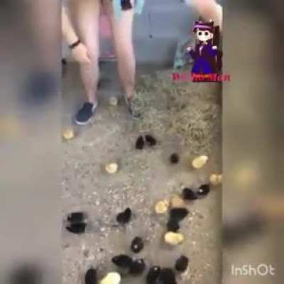 Não!!!