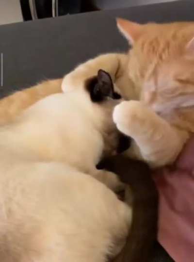 Today I saw what true love is