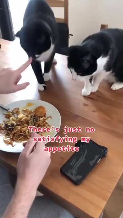 Can't stop the feline!