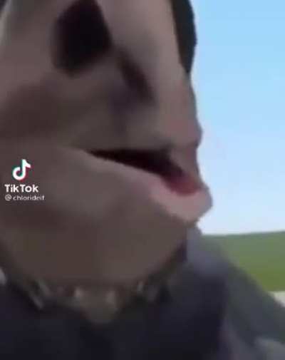 f i s h
