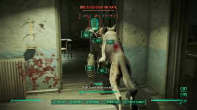 Dogmeat going nacho libre mode 