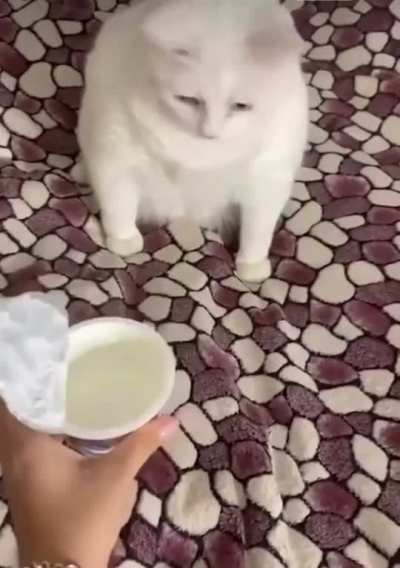 Maybe maybe maybe