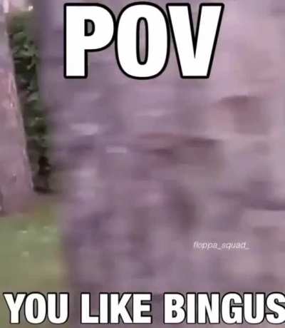 Yes 🙌