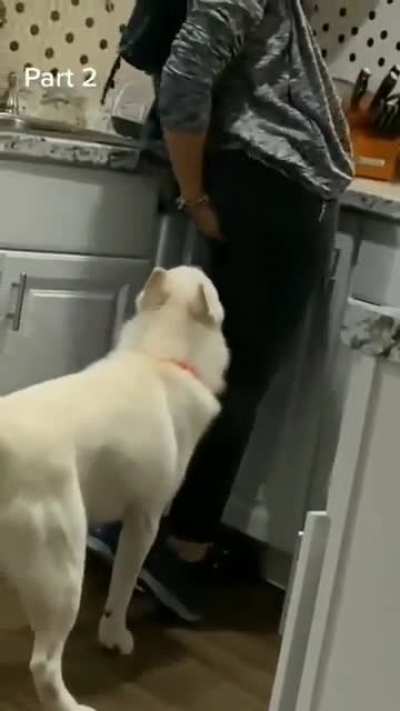 Play biting?