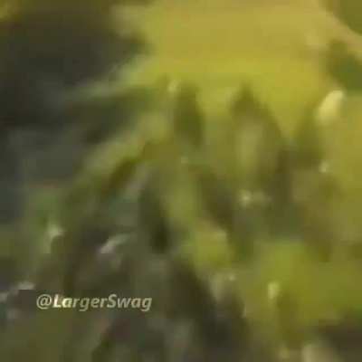 Aqui tem um t&iacute;tulo