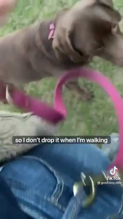 He is a good boy