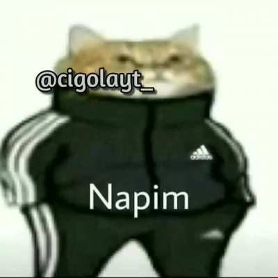 Jack kralsın agam