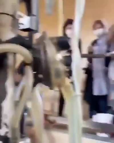 Кончающий слон