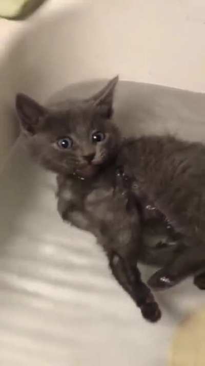 Bathwater tastes good I guess
