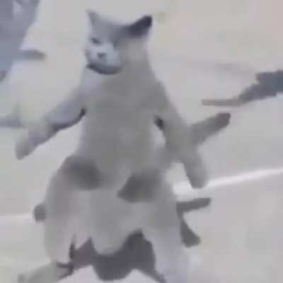 kkkkkkkkk