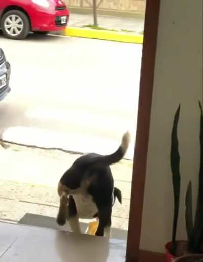 Ohh, self service ,,yoink,,.