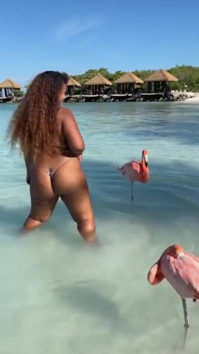 Just ass