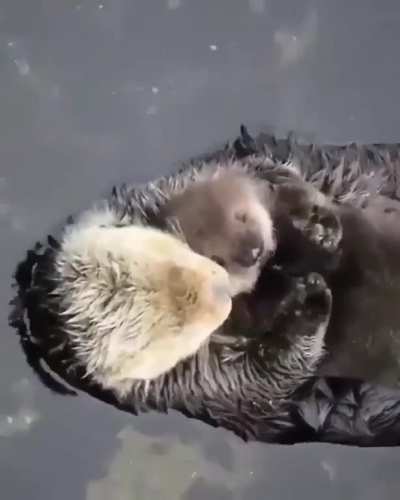 I love you my son