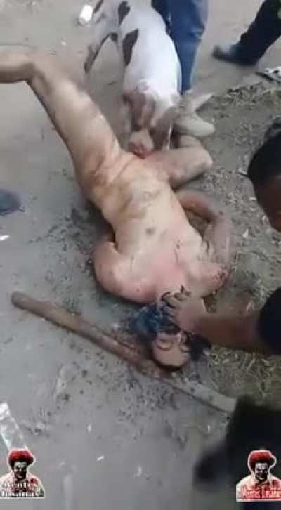 [GORE/ЖЕСТЬ] Питбуль отгрыз яйца мужику