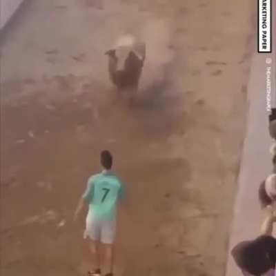 The balls of this guy...