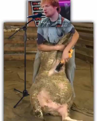 What's Ed doing?
