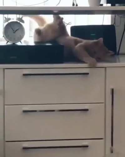 Баюн
