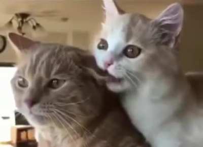 Monch