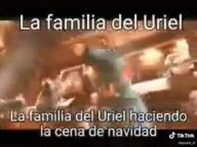 Urigod