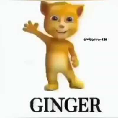 Ginger