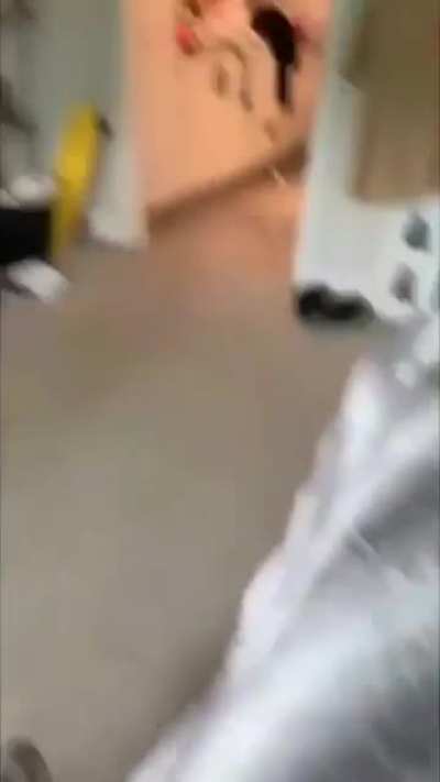 Loud rubber chicken