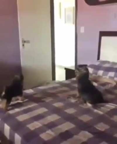 Nice Magic Trick