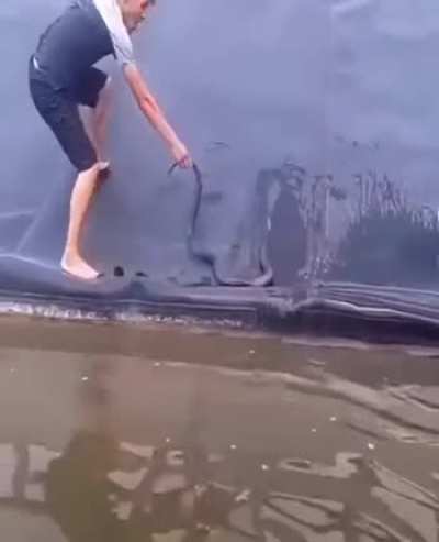 Bruh