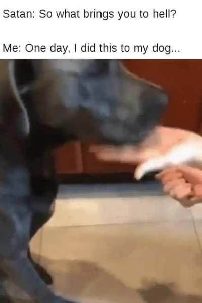 "Damn bro, how could you do that"